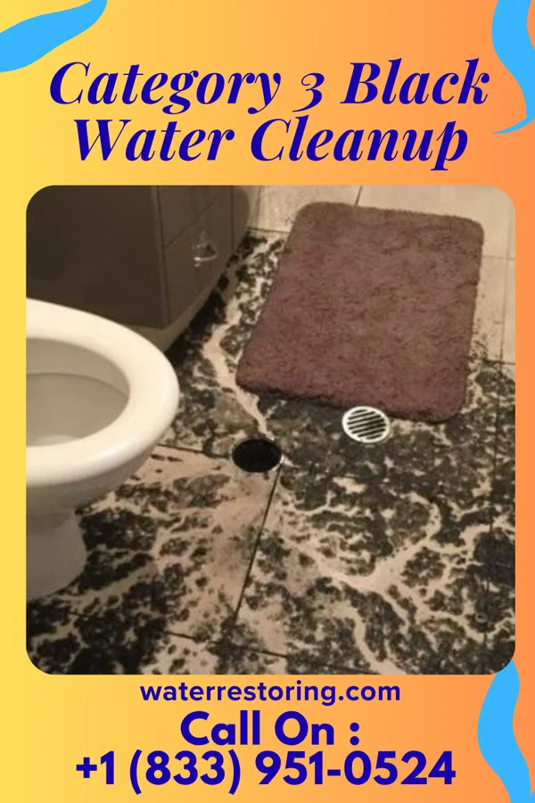 Category 3 Black Water Cleanup in Ansonia, CT