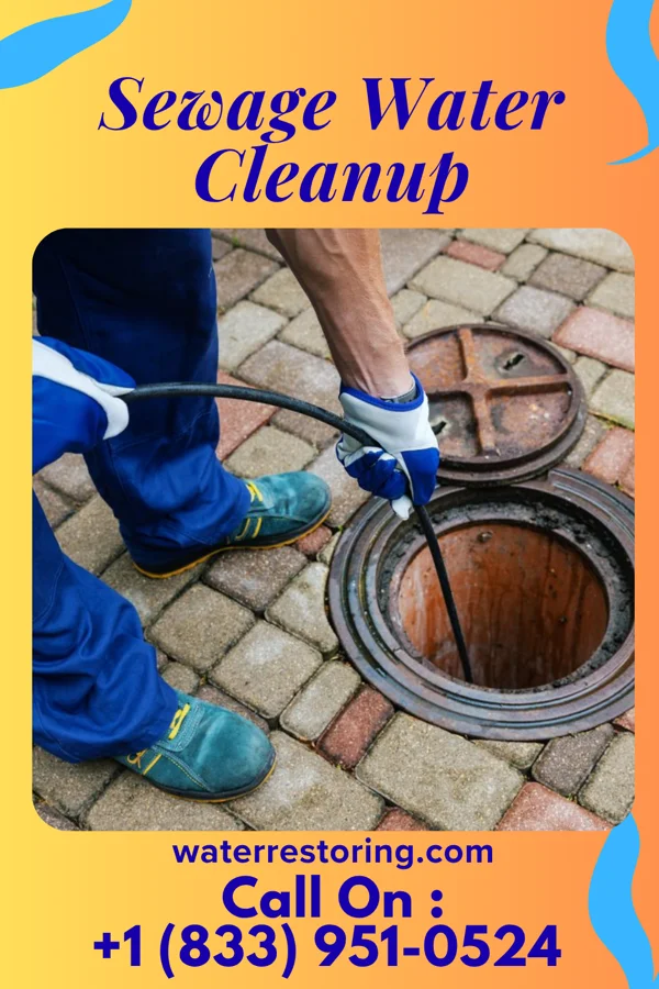 Sewage Water Cleanup in Ansonia, CT